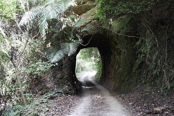 嘉義中埔百年古隧道/雙龍隧道&amp;長青隧道/南庄鄉南富村四灣山區