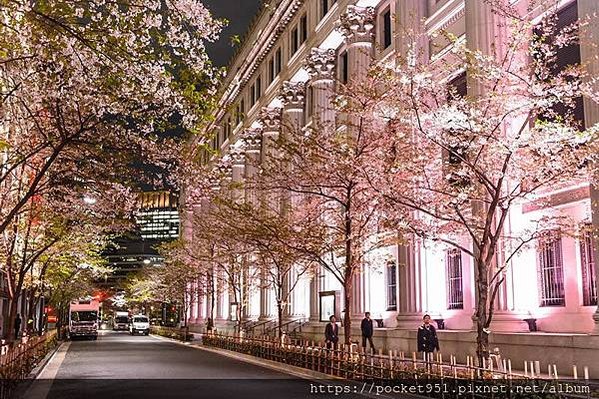 nihonbashi-sakura-fes20_03