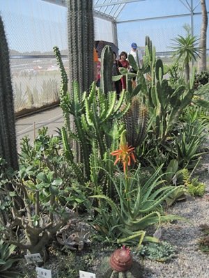 IMG_1675