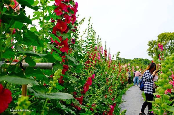 DSCF0115
