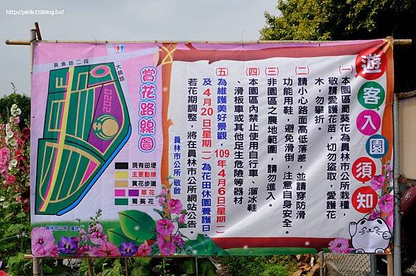 DSCF0184