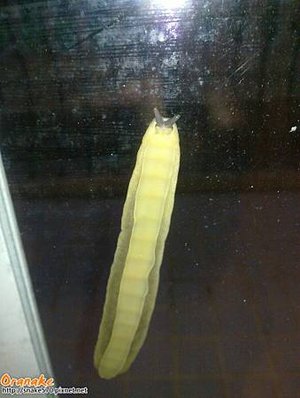 20120702_006