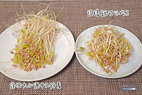 20210607農場到餐桌 居家簡易開心農湯_如何孵綠豆芽5_陳月卿