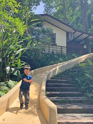 【桃園 新竹景點】2019森林鳥花園 最貼心的親子景點 新竹2天1夜/超長森林 最貼心的親子景點 新竹2天1夜/超長森林溜滑梯/戲水消暑/生態鳥園/樹屋/賽車場/新埔推薦景點/IG打卡溜滑梯/戲水消暑/生態鳥園/樹屋/賽車場/新埔推薦景點/IG打卡