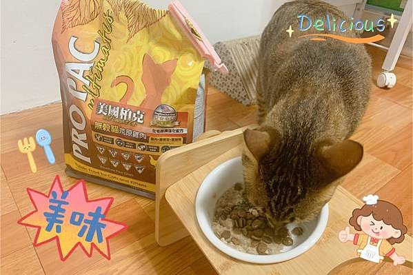 美國柏克 PRO PAC 無穀貓飼料試吃心得😽