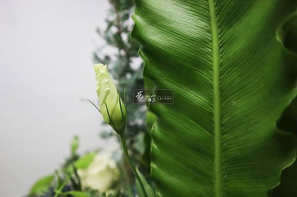 IMG_5243