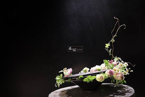 IMG_3981-