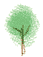 au-tree4.gif