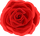 ROSE.png