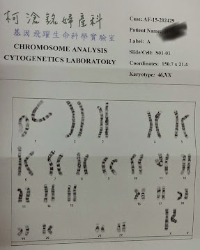 [童龜埔] 柯滄銘羊膜穿刺∼雖然沒有想像中的恐怖，但還是會驚