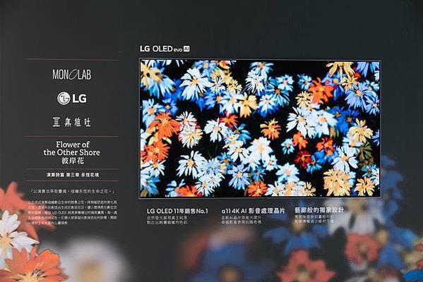 【新聞圖片1】LG OLED攜手生成式藝術家吳哲宇，限定展覽於Diamond Towers震撼登場
