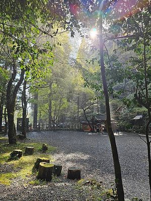 與龍相遇，京都工作1