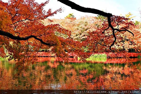 【長野縣】雲場池～輕井澤最浪漫的池畔楓景