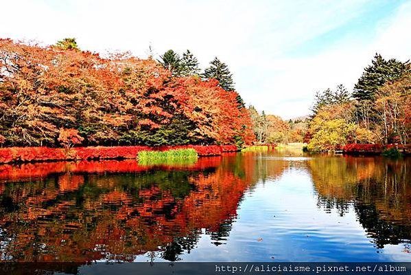 【長野縣】雲場池～輕井澤最浪漫的池畔楓景