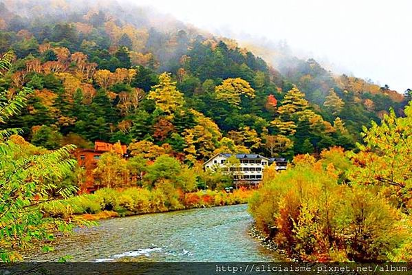 【長野縣】上高地《田代橋~河童橋～明神池》：人間仙境相遇的絕