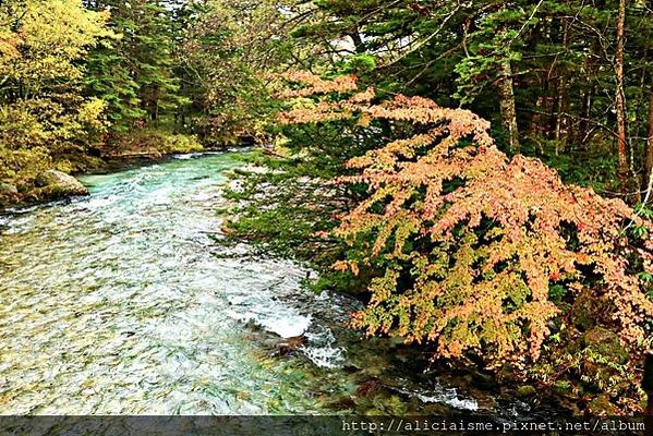 【長野縣】上高地《田代橋~河童橋～明神池》：人間仙境相遇的絕