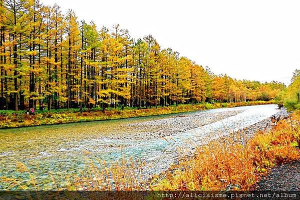 【長野縣】上高地《田代橋~河童橋～明神池》：人間仙境相遇的絕