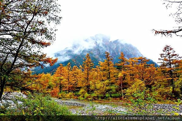 【長野縣】上高地《田代橋~河童橋～明神池》：人間仙境相遇的絕