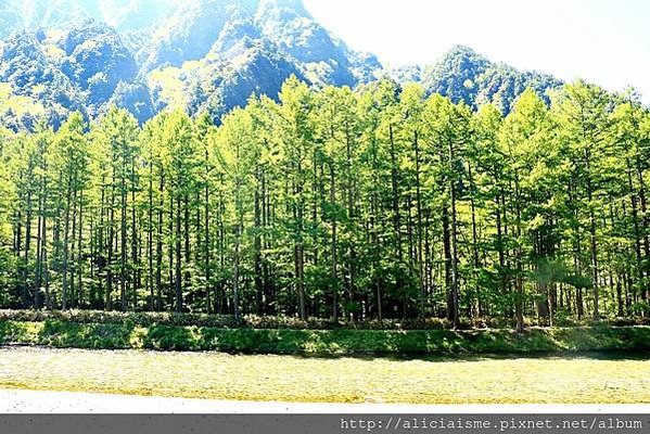 【長野縣】上高地《田代橋~河童橋～明神池》：人間仙境相遇的絕