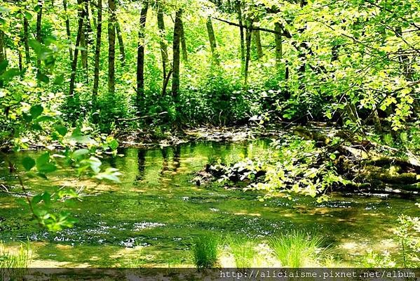 【長野縣】上高地《田代橋~河童橋～明神池》：人間仙境相遇的絕