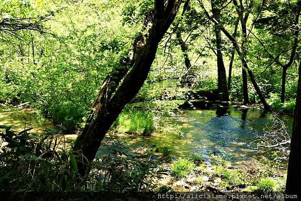 【長野縣】上高地《田代橋~河童橋～明神池》：人間仙境相遇的絕