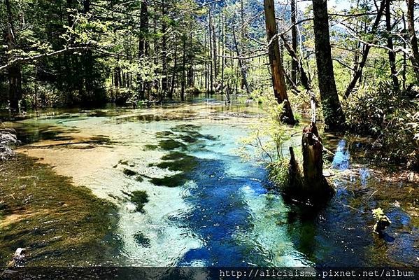 【長野縣】上高地《田代橋~河童橋～明神池》：人間仙境相遇的絕