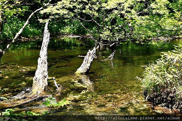 【長野縣】上高地《田代橋~河童橋～明神池》：人間仙境相遇的絕