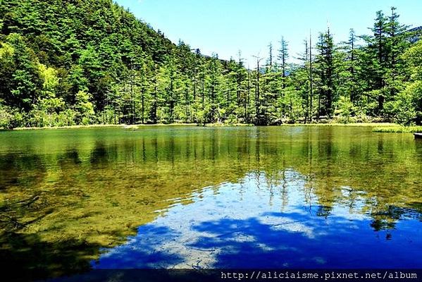 【長野縣】上高地《田代橋~河童橋～明神池》：人間仙境相遇的絕