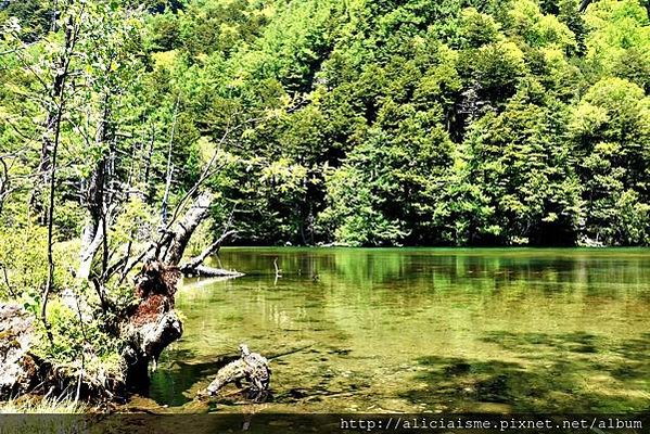 【長野縣】上高地《田代橋~河童橋～明神池》：人間仙境相遇的絕