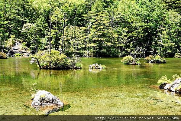 【長野縣】上高地《田代橋~河童橋～明神池》：人間仙境相遇的絕