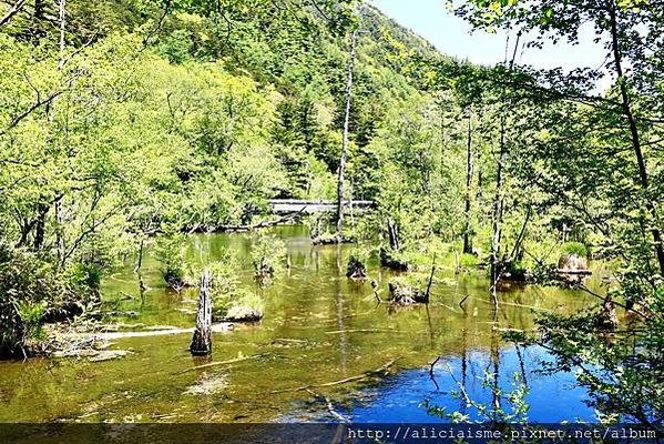 【長野縣】上高地《田代橋~河童橋～明神池》：人間仙境相遇的絕