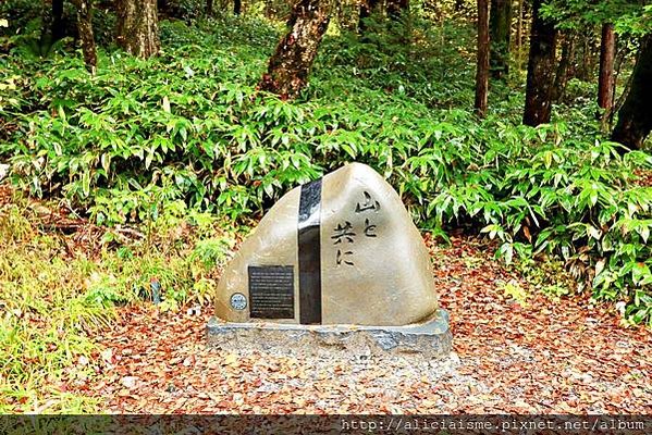 【長野縣】上高地《田代橋~河童橋～明神池》：人間仙境相遇的絕