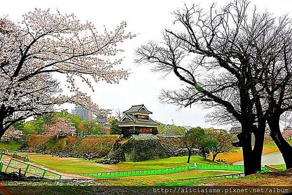 【熊本縣】2024修復更新：三大名城「熊本城」天守閣復活、加