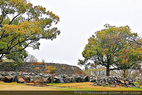 【熊本縣】2024修復更新：三大名城「熊本城」天守閣復活、加