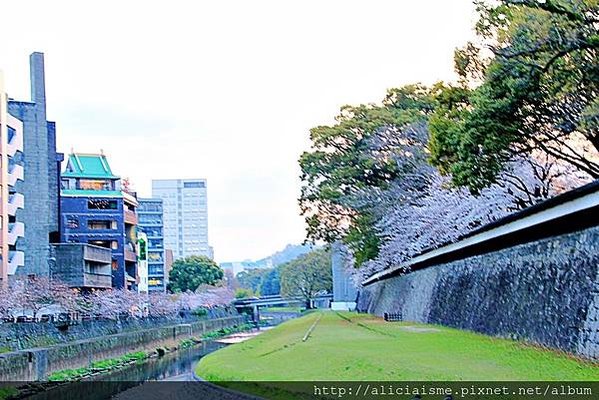 【熊本縣】2024修復更新：三大名城「熊本城」天守閣復活、加