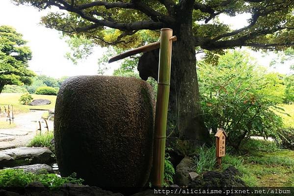 【東京都】清澄庭園：下町風情的日式庭園裏，品咖啡找四季