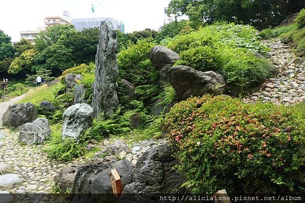 【東京都】清澄庭園：下町風情的日式庭園裏，品咖啡找四季