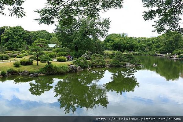 【東京都】清澄庭園：下町風情的日式庭園裏，品咖啡找四季