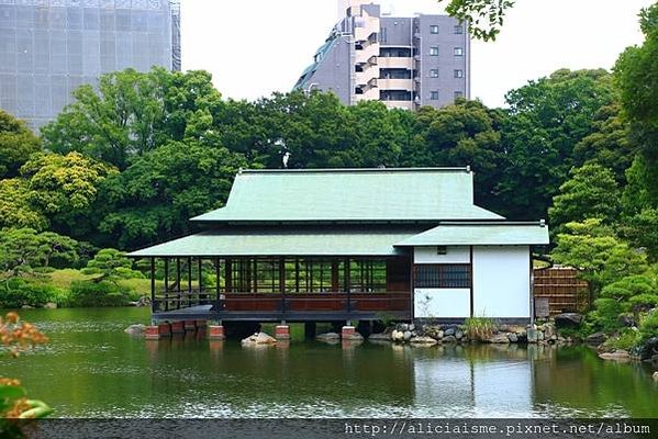 【東京都】清澄庭園：下町風情的日式庭園裏，品咖啡找四季