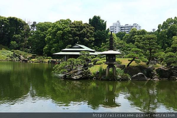 【東京都】清澄庭園：下町風情的日式庭園裏，品咖啡找四季