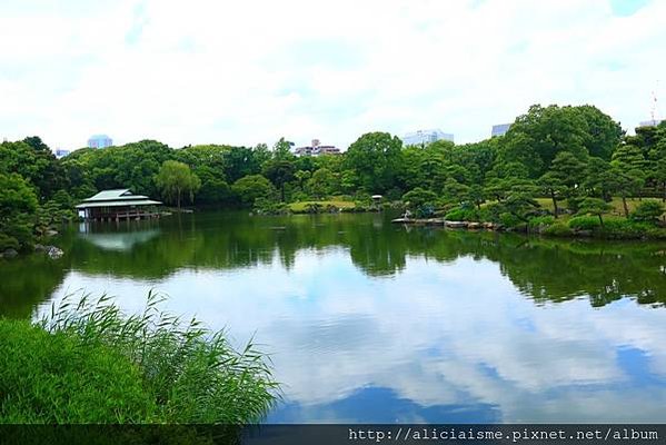 【東京都】清澄庭園：下町風情的日式庭園裏，品咖啡找四季