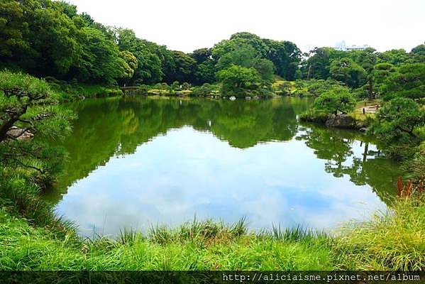 【東京都】清澄庭園：下町風情的日式庭園裏，品咖啡找四季