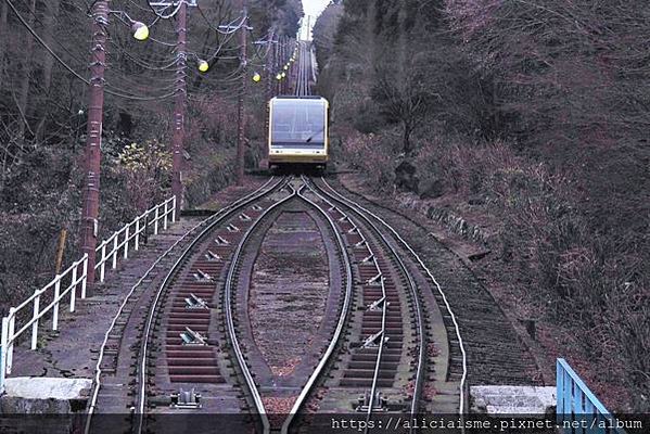 【福岡縣】皿倉山：搭乘透明景觀纜車，眺望新日本三大夜景、戀人