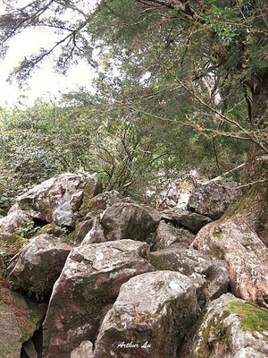 2022 玉山前峰、玉山西峰 單攻