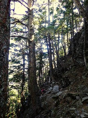 2025 羊頭山