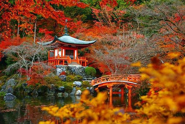 京都醍醐寺.jpg