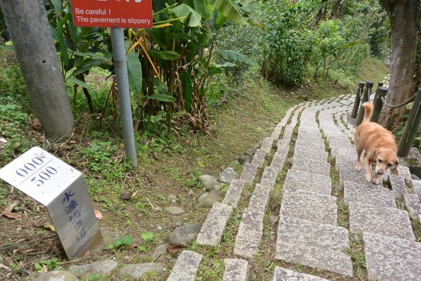 狗狗健行〉新竹峨嵋．水濂橋步道．壺穴．糯米橋