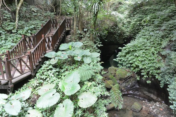 狗狗健行〉新竹峨嵋．水濂橋步道．壺穴．糯米橋