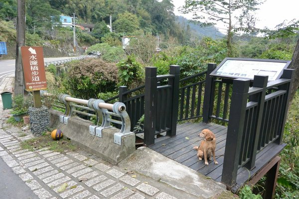 狗狗健行〉新竹峨嵋．水濂橋步道．壺穴．糯米橋