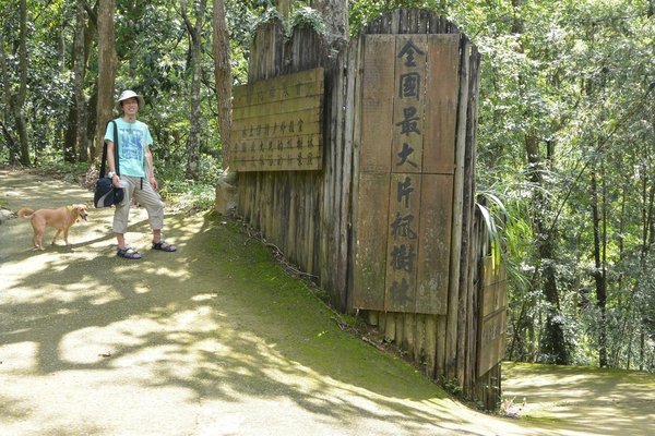 狗狗出遊〉台中東勢．東勢林場